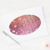 Coucher de soleil dans les Stickers Crystal (Enveloppe)