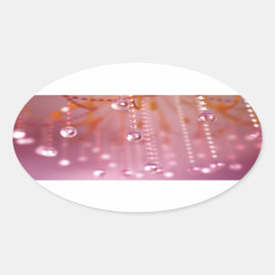 Coucher de soleil dans les Stickers Crystal