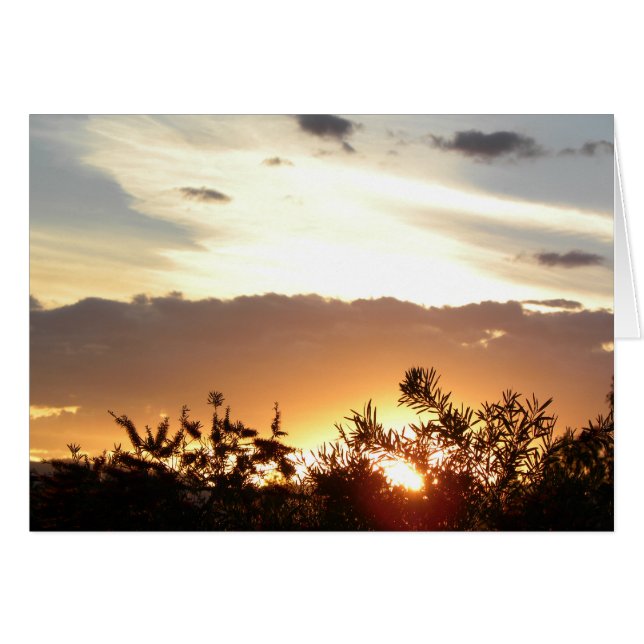 Coucher de soleil de Canberra (Devant horizontal)