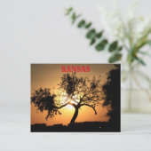 Coucher de soleil de Kansas avec carte postale arb (Debout devant)