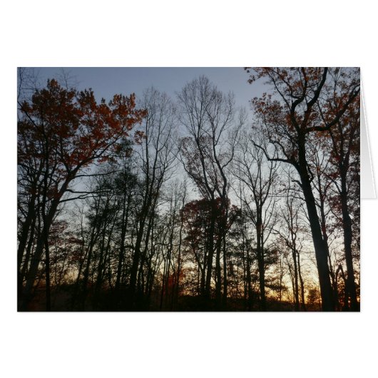 Coucher de soleil de novembre (Devant horizontal)