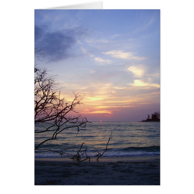 Coucher de soleil de Palm Island 1 (Devant)