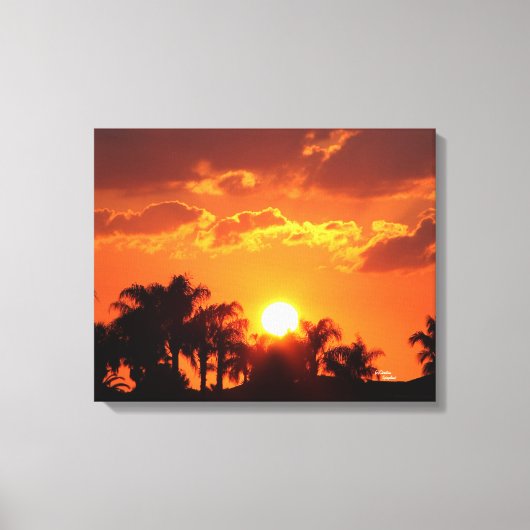 Coucher de soleil de palmier de Floride toile étir (Recto)
