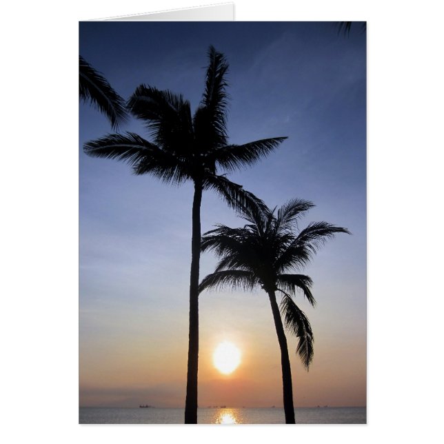 coucher de soleil de palmier mannequin (Devant)