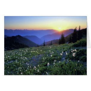 Coucher de soleil de Point d'obstruction, Pôle oly