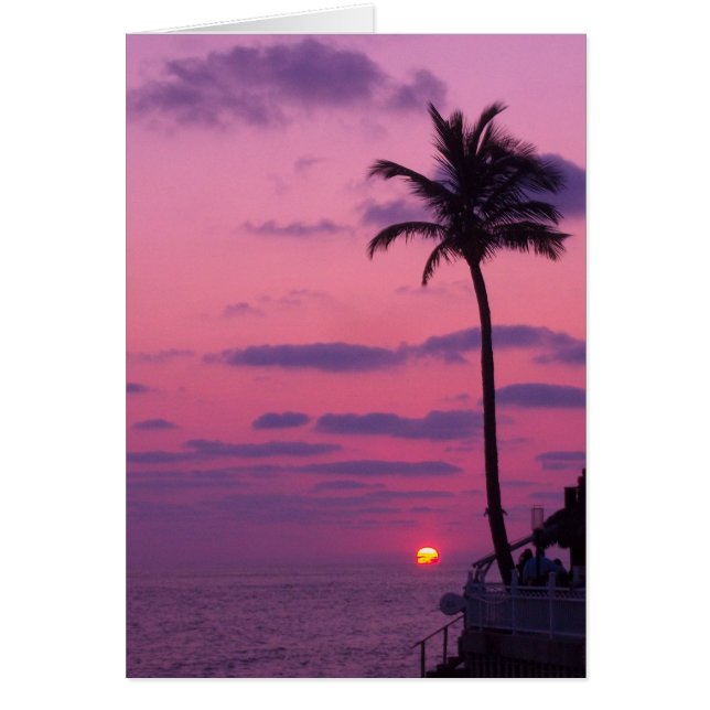 Coucher de soleil de Shephards, Clearwater, Fl. (Devant)