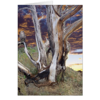 Coucher de soleil du Colorado