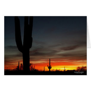 Coucher de soleil du désert de Sonoran Arizona ave