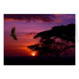 Coucher de soleil en Serengeti, Tanzanie