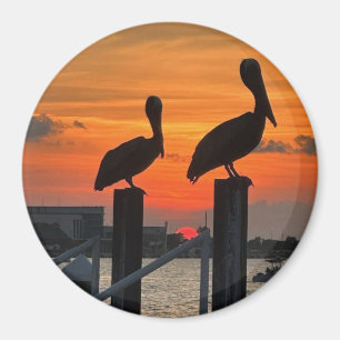 Coucher de soleil et aimant pélicans