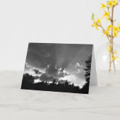 Coucher de soleil / Noir, carte (Fleur jaune)