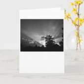 Coucher de soleil / Noir, carte (Fleur jaune)