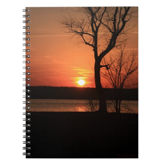 Coucher de soleil orange et Carnet d'arbres (Devant)