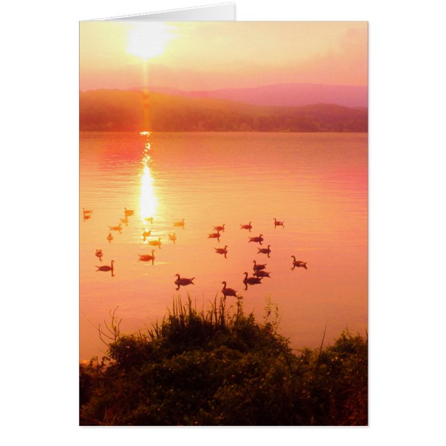 Coucher de soleil rose et de lac de pêche (Devant)