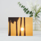 Coucher de soleil sur la carte postale Beach II (Debout devant)