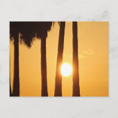 Coucher de soleil sur la carte postale Beach II (Devant)