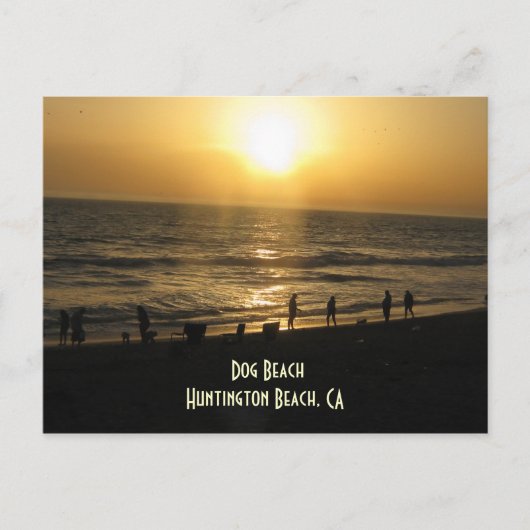 Coucher de soleil sur la carte postale de Dog Beac (Devant)