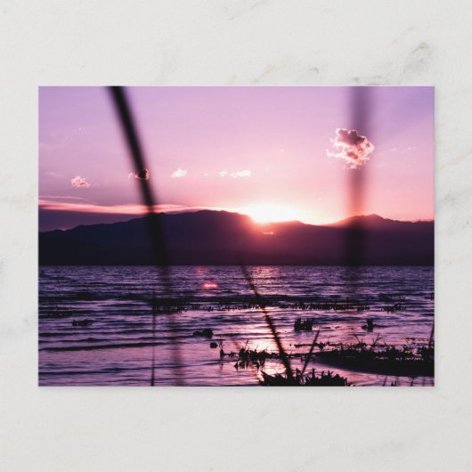 Coucher de soleil sur la carte postale du lac Utah (Devant)