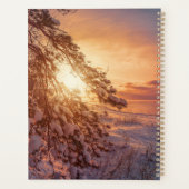 Coucher de soleil sur la mer et le pin (Dos)