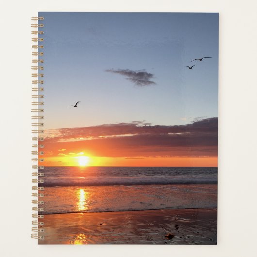 Coucher de soleil sur la plage (Devant)