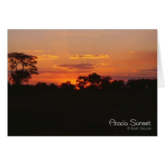 Coucher de soleil sur l'acacia (Devant Horizontal)