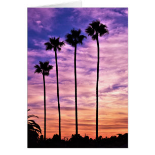 Coucher de soleil sur le palmier de Californie