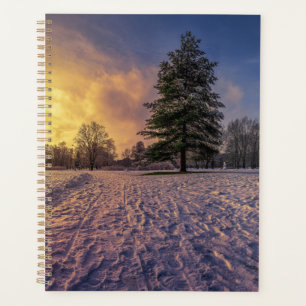 Coucher de soleil sur le parc d'hiver enneigé
