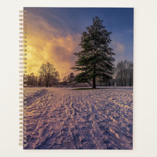 Coucher de soleil sur le parc d'hiver enneigé (Devant)