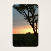 Coucher de soleil sur les champs ruraux (Devant)