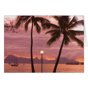 Coucher de soleil sur Moorea depuis Sofitel Maeva