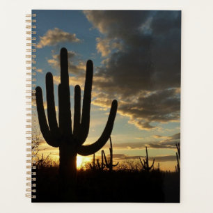 Coucher de soleil sur Saguaro II Paysage du désert