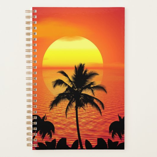 Coucher de soleil tropical (Devant)