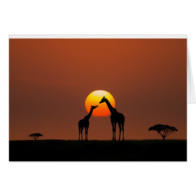 Coucher du soleil africain (Devant horizontal)
