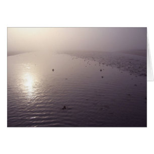 Coucher du soleil brumeux