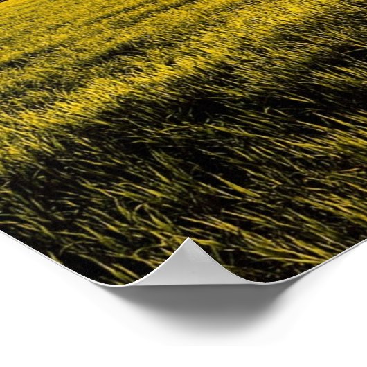 Coucher du soleil dans un paysage rural affiche (Coin)