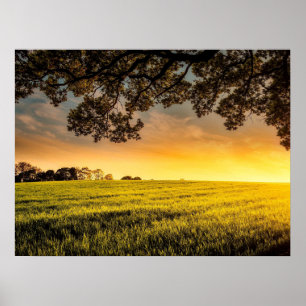 Coucher du soleil dans un paysage rural affiche
