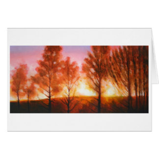 Coucher du soleil de milieu de l'été