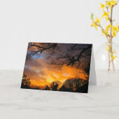 Coucher du soleil de plein hiver - carte de voeux (Fleur jaune)