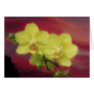 Coucher du soleil d'orchidée