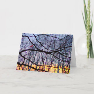 Coucher du soleil et une carte de voeux vierge