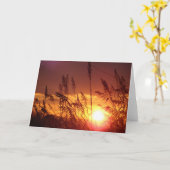 Coucher du soleil par la carte de note de blanc de (Fleur jaune)