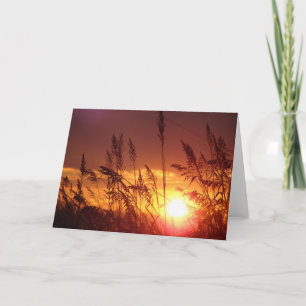 Coucher du soleil par la carte de note de blanc de