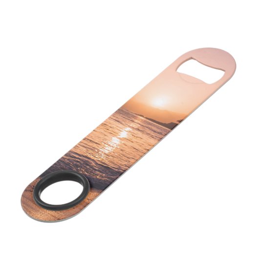 Coucher du soleil renversant de plage (Devant angulaire)