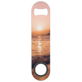 Coucher du soleil renversant de plage (Devant)