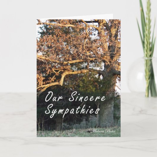 Coucher du soleil sur la carte de sympathie (Devant)