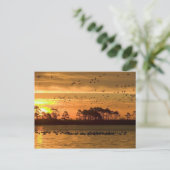 Coucher du soleil sur la carte postale de Chincote (Debout devant)