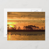 Coucher du soleil sur la carte postale de Chincote (Devant / Derrière)