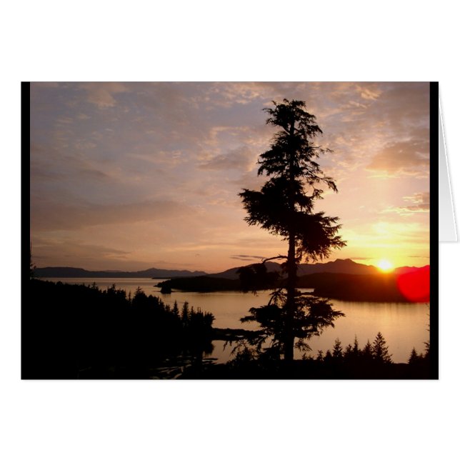 Couchers de soleil et cèdres (Devant horizontal)