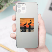 Couchers de soleil et pélicans sur stickers vinyle (Téléphone)