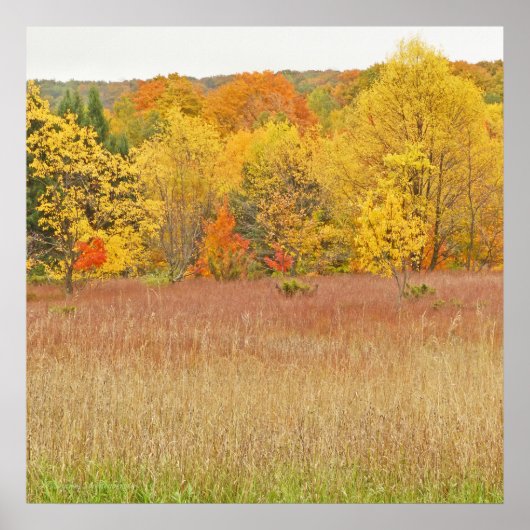 "COUCHES DE COULEUR/FEUILLES DE TOMBÉE" impression (Devant)